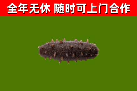 三明烟酒回收干海参.jpg